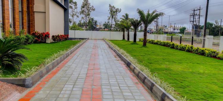 皇家套房酒店(Hotel Royal Suites)图片