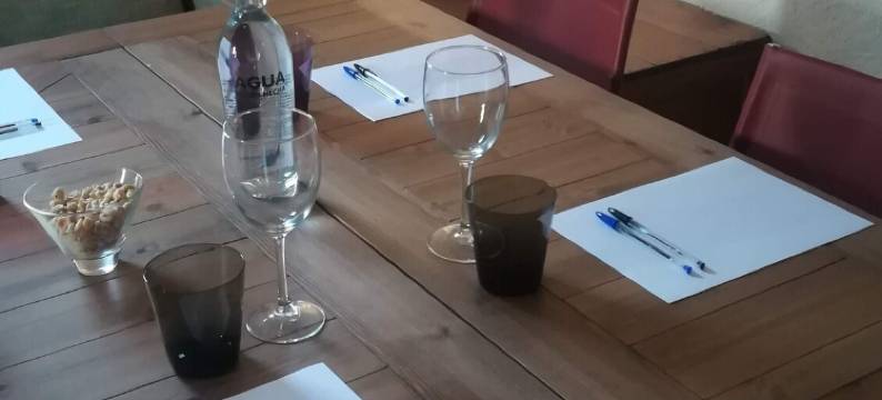 马斯德尔索尔酒店(Hotel Mas del Sol)图片