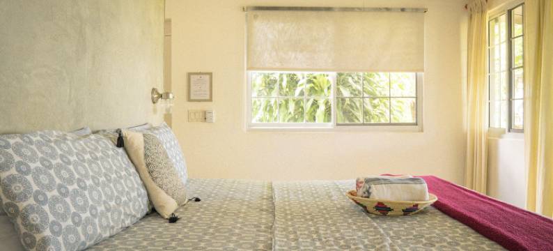 吗拉库亚(La Maracuyá)图片