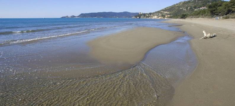 拉卡雷塔酒店(Hotel la Caletta)图片