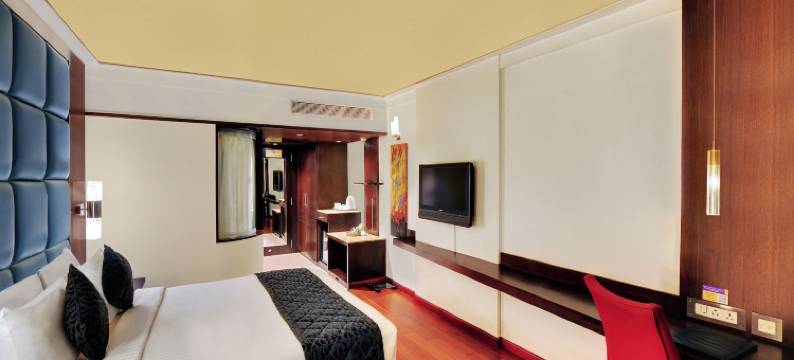 艾瑞斯商务酒店(Iris the Business Hotel)图片