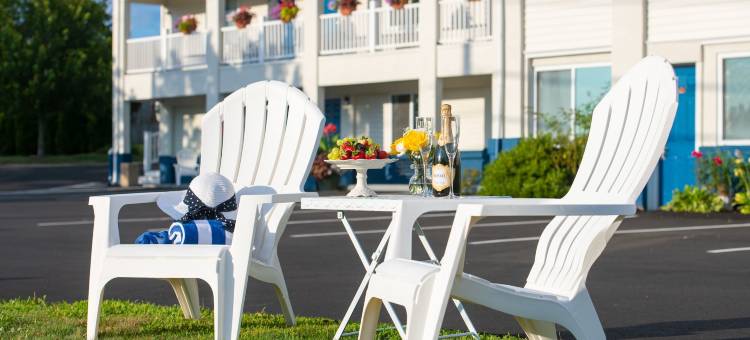 罗德威经济型酒店(Rodeway Inn)图片