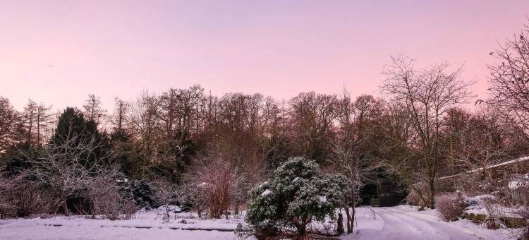 斯塔福德之屋旅馆(Stafford House Guest House)图片