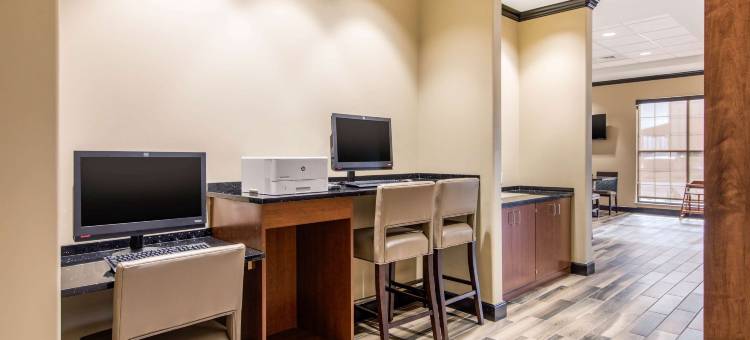 舒适套房酒店(Comfort Suites)图片