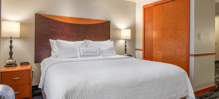 假日塔彭斯普林斯万枫套房酒店(Fairfield Inn & Suites Holiday Tarpon Springs)图片