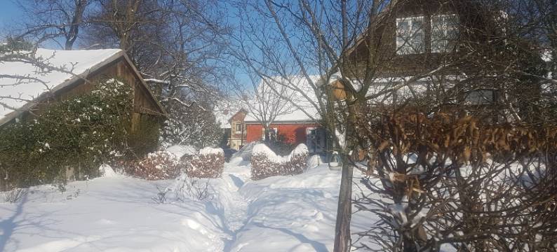 罗辛德尔小屋(Rosindell Cottage)图片