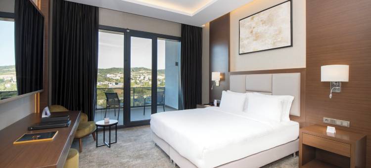 雅洛瓦皇冠假日酒店 IHG(Crowne Plaza Yalova)图片