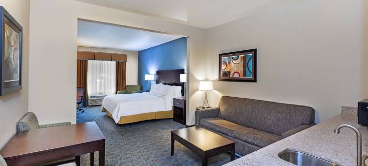 弗洛里斯维尔智选假日套房酒店(Holiday Inn Express & Suites FLORESVILLE by IHG)图片