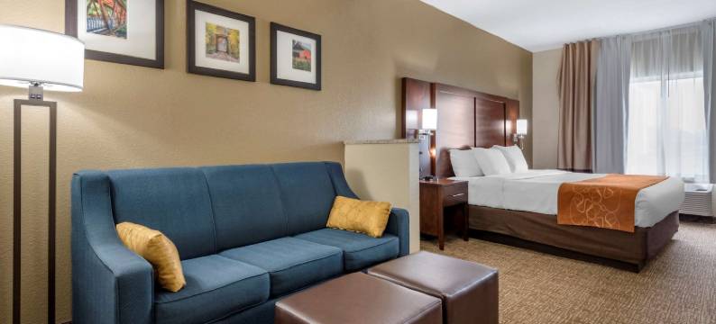 奥本I-69附近舒适套房酒店(Comfort Suites Auburn Near I-69)图片
