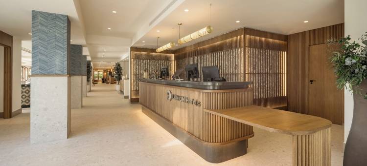 依昂卡莱塔公园酒店(Ilunion Caleta Park)图片