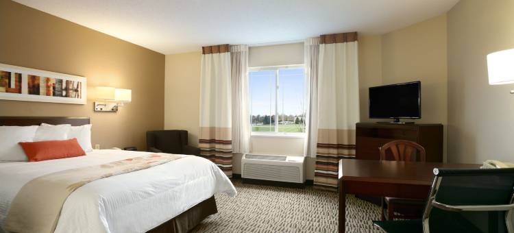 奥兰多阿尔塔蒙特斯普林斯美茵斯坦套房酒店(MainStay Suites Orlando Altamonte Springs)图片