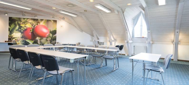 厄兰艾克罗姆度假酒店(Ekerum Resort Öland)图片