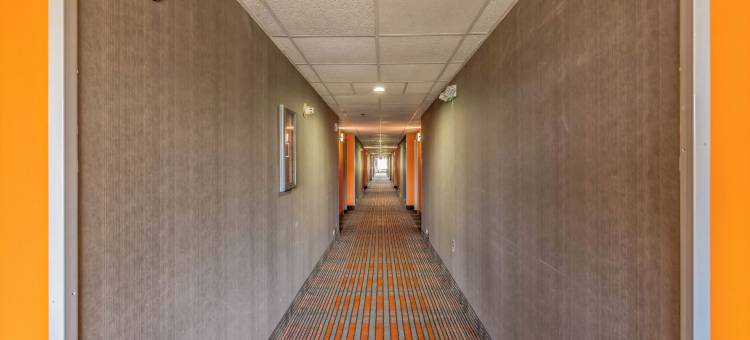 列克星敦豪生酒店(Howard Johnson by Wyndham Lexington)图片