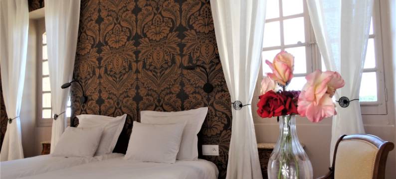 蒙普莱斯城堡民宿(Chambre d'hôtes Château MontPlaisir)图片