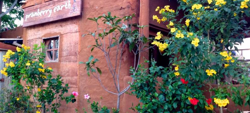 Pranberry地球旅馆(Pranberry Earth)图片