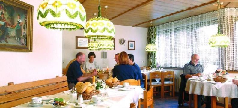 拉维纳酒店(Hotel Lawine)图片