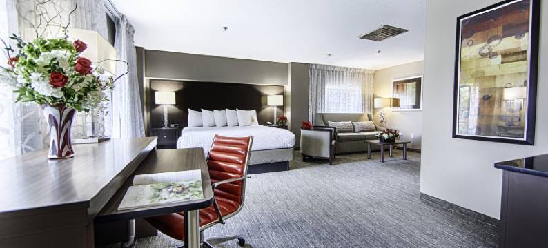 凯普斯酒店(Hotel Capstone)图片