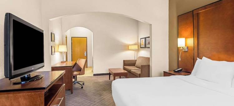 万塞讷舒适套房酒店(Comfort Suites)图片