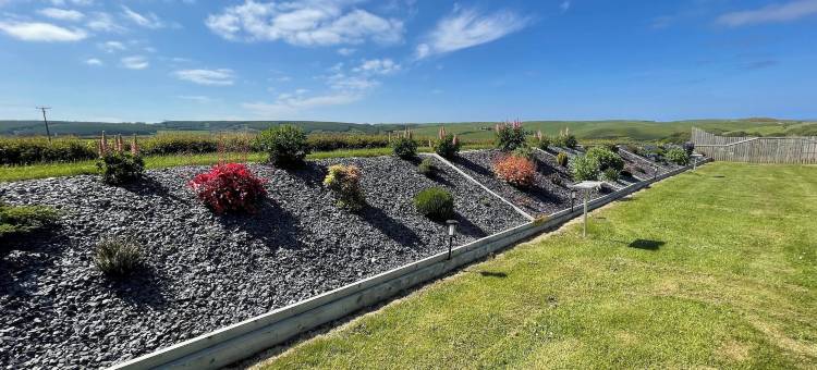 Acdc 华丽露营 - 露营车 - 房车及帐篷度假村(Acdc Glamping, Campervan , Caravan and Tent Resort)图片