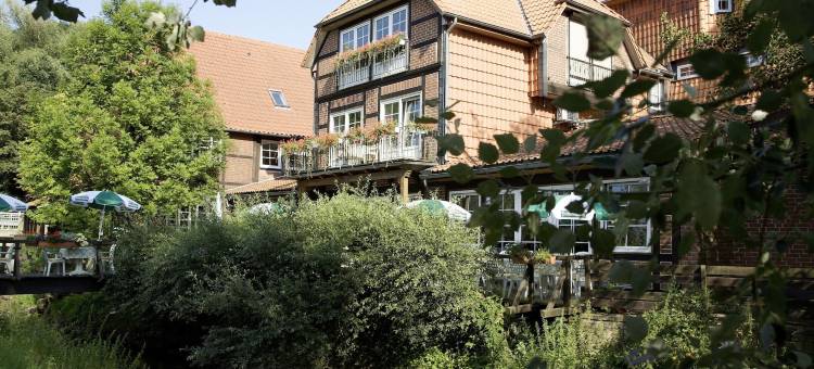 Brackstedter Mühle 酒店及餐厅(Brackstedter Mühle e.K.)图片
