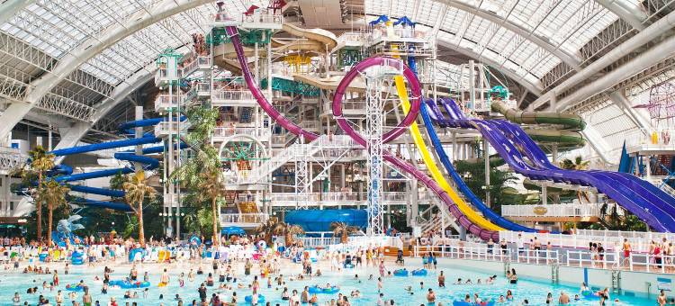 幻想世界酒店(Fantasyland Hotel)图片