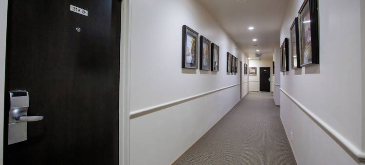 新普利茅茨卓越酒店(Distinction New Plymouth Hotel & Conference Centre)图片