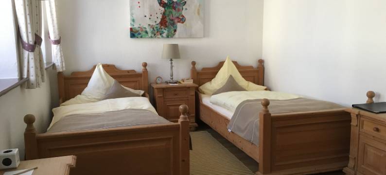 阿尔特安纳贝格伽尼酒店(Hotel Alt Annaberg)图片