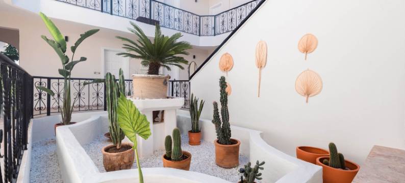 布伦泽酒店(Bronze Hotel)图片