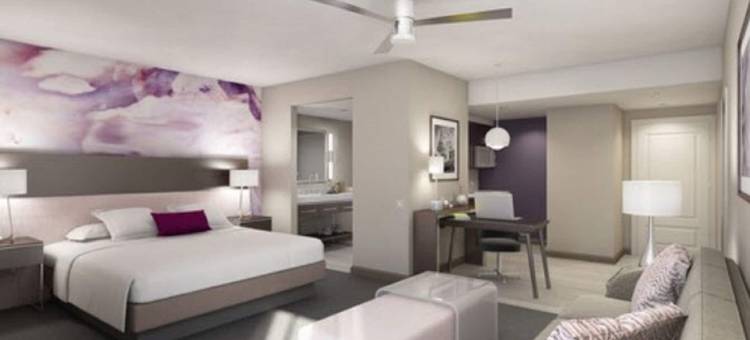 华盛顿哥伦比亚特区拉尔戈Homewood Suites by Hilton(Homewood Suites by Hilton Largo Washington D.C.)图片