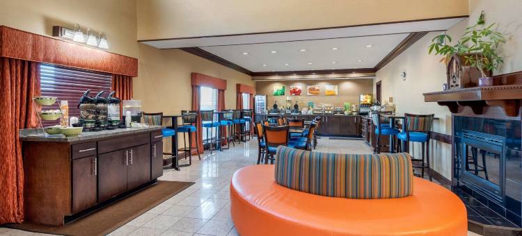 舒适套房酒店(Comfort Inn & Suites)图片