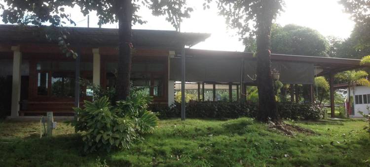 入住放松旅馆(Check in and Chill Out)图片