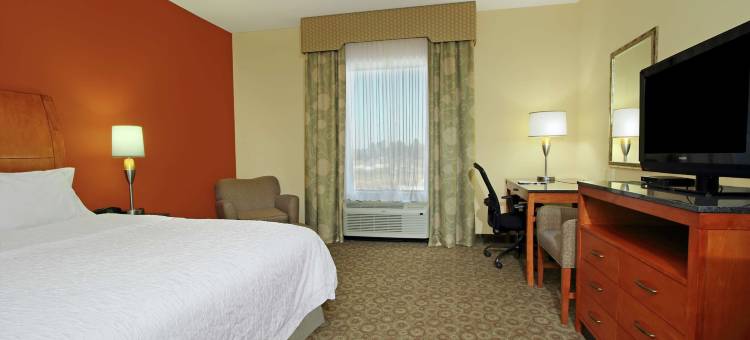水牛城欢朋套房酒店(Hampton Inn & Suites Buffalo)图片