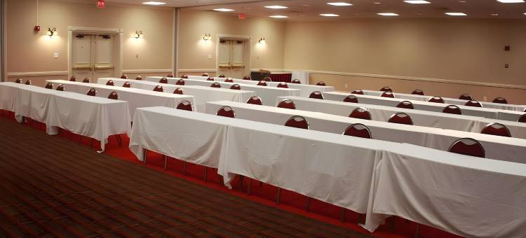 福朋喜来登喜來登酒店-堪萨斯城机场(Four Points by Sheraton Kansas City Airport)图片
