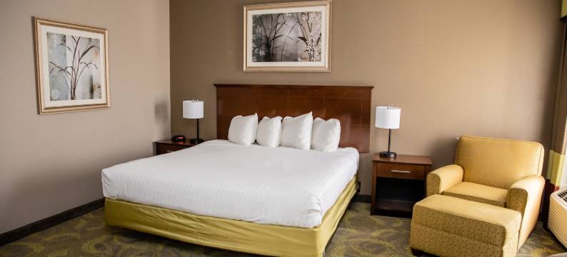 卡彭特大街酒店(Carpenter Street Hotel)图片