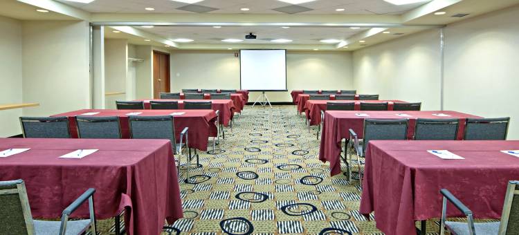 南部舒适酒店(Comfort Inn & Suites South)图片