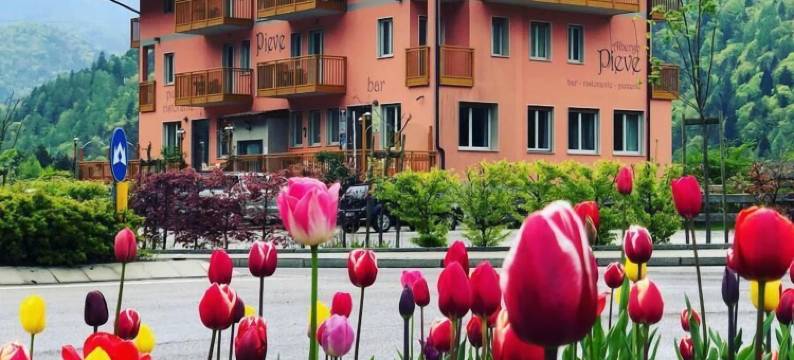 皮耶夫酒店(Alpieve Albergo Pieve)图片