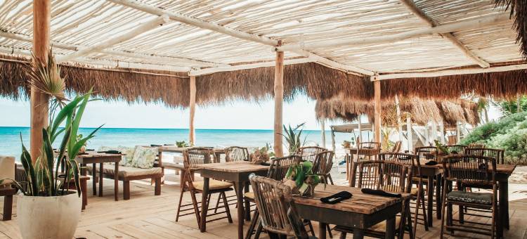 木瓜海滩项目，图兰，设计酒店成员(Papaya Playa Project A Member of Design Hotels)图片