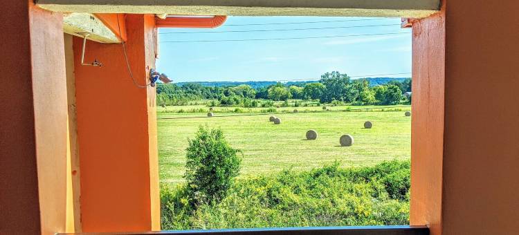 品质酒店及套房迪凯特 - 普莱斯维尔 I-65(Quality Inn & Suites Decatur Priceville I-65)图片