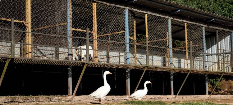 维珍谷(Virgin Valley Leisure Resort)图片