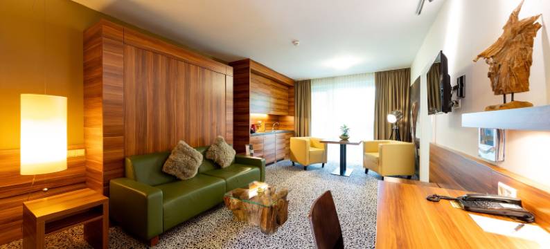 南德艺术酒店(Hotel Süd Graz)图片