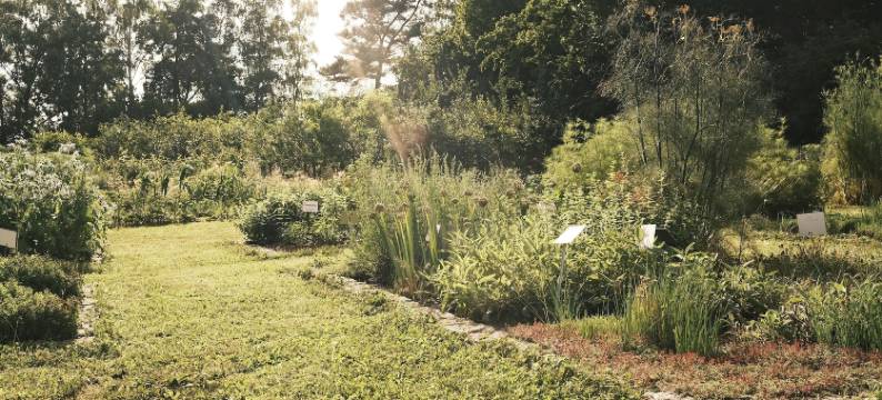 斯图尔姆生物和健康酒店在霍恩(Hotel Sturm Bio- & Wellnesshotel in der Rhön)图片