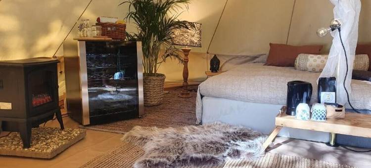 Surfviken(音译)(Surfviken Glamping and B&B)图片