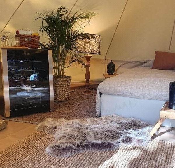 Surfviken(音译)(Surfviken Glamping and B&B)图片