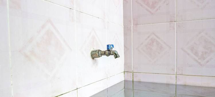 OYO Life 92785 特鲁布斯伊斯兰旅馆(Wisma Trubus Syariah RedPartner Near Rsud Koesma Tuban)图片