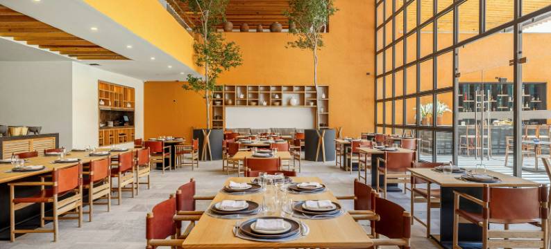 克莱维亚，圣米格尔-德阿连德，傲途格精选(Cleviá, Autograph Collection, San Miguel de Allende)图片