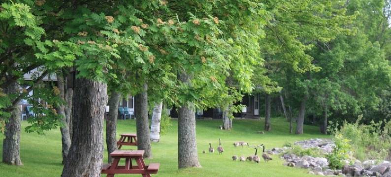 卡罗琳海滩汽车旅馆(Carolyn Beach Inn)图片