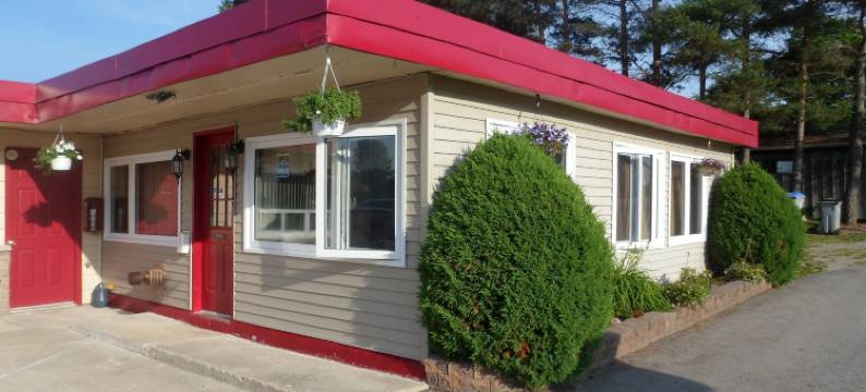 银桦树汽车旅馆(The Silver Birch Motel)图片