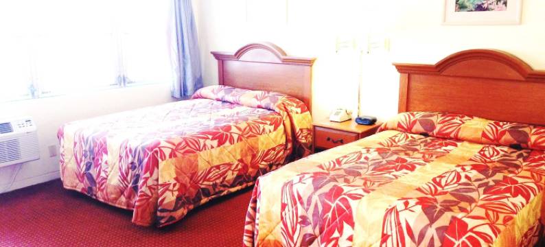 夏威夷汽车旅馆(Hawaii Motel)图片