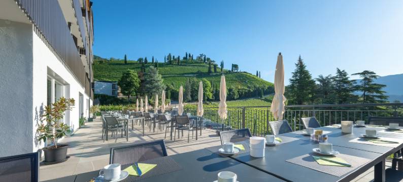 威努斯酒店(Vineus Tramin)图片