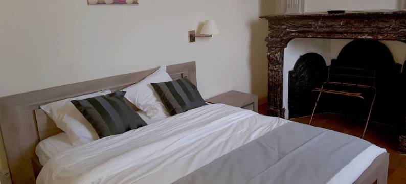 洛吉斯城堡德拉莫特酒店(Logis - Château de la Motte - Hôtel & Restaurant)图片